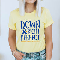 Down Right Perfect Graphic Tee | Down Syndrome | Extra Chromosome | Lucky Few | Down Syndrome Awareness | Blue Ribbon